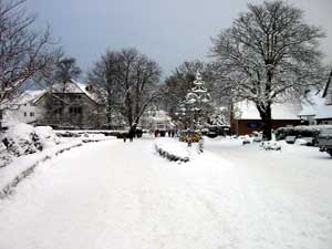 Zingst - immer eine Reise wert